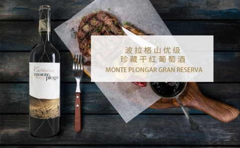波拉格山優(yōu)級珍藏干紅葡萄酒 Bodega Paniza